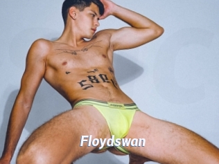 Floydswan