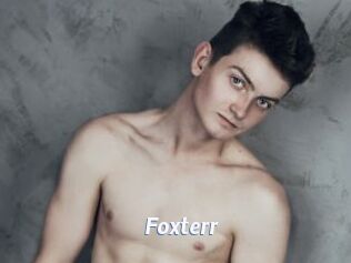 Foxterr