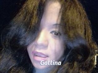 Gattina