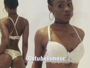Gatubela_masc