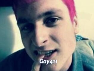 Gay411