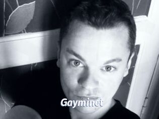 Gayminet