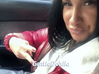 GentleDahlia