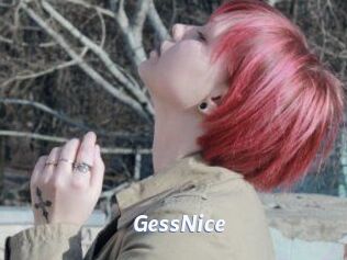 GessNice