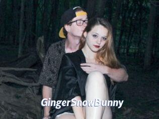 GingerSnowBunny