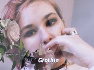 Grothia