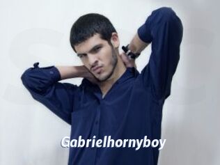 Gabrielhornyboy