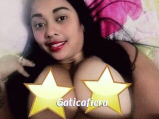 Gaticafiera