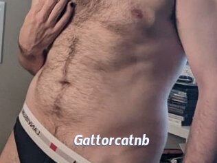 Gattorcatnb
