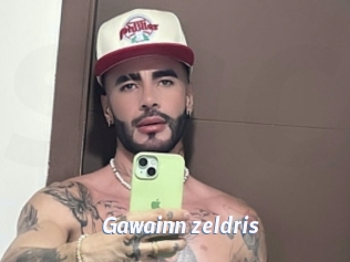 Gawainn_zeldris