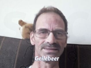 Geilebeer