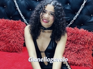 Gianellagavalo