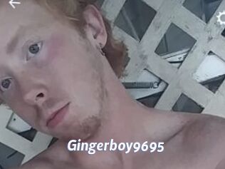 Gingerboy9695