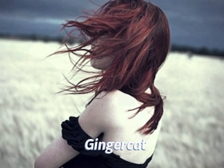 Gingercat