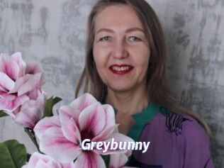 Greybunny