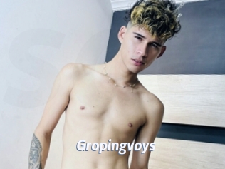 Gropingvoys