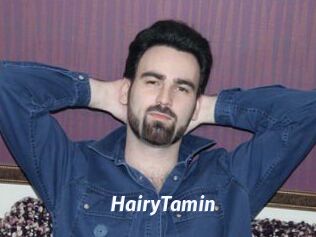 HairyTamin