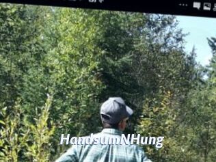 HandsumNHung