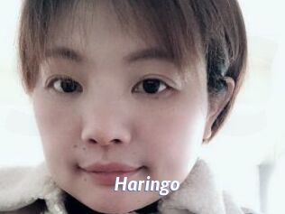 Haringo