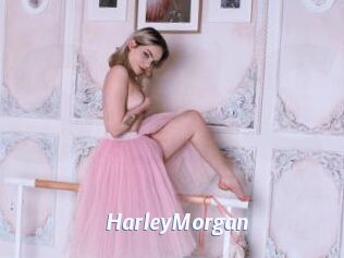 HarleyMorgan