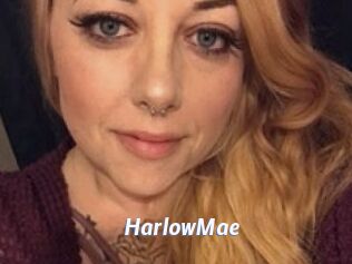 Harlow_Mae