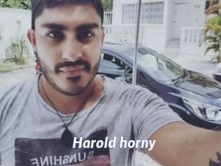 Harold_horny