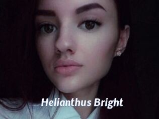 Helianthus_Bright