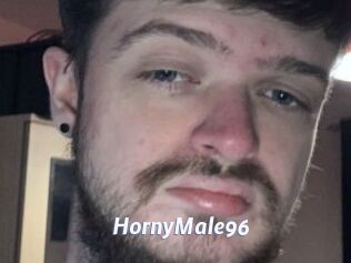 HornyMale96