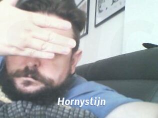 Hornystijn