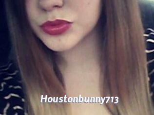 Houstonbunny713