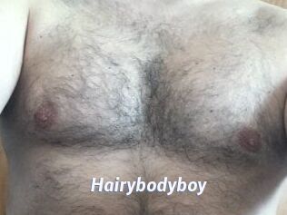 Hairybodyboy