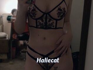 Haliecat