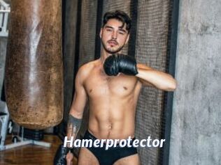 Hamerprotector