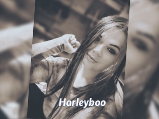 Harleyboo