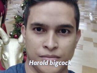 Harold_bigcock