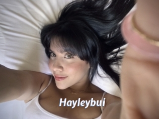 Hayleybui