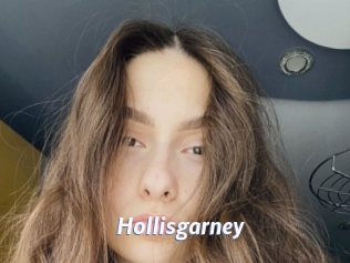 Hollisgarney