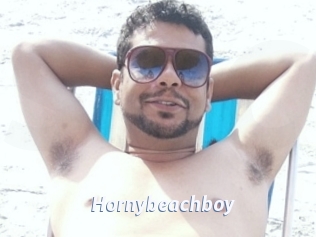 Hornybeachboy