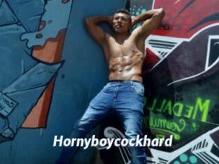 Hornyboycockhard
