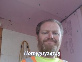 Hornyguy24745