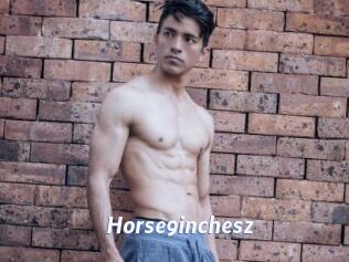 Horse9inchesz
