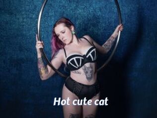 Hot_cute_cat