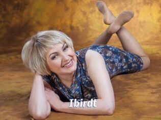 Ibirdt