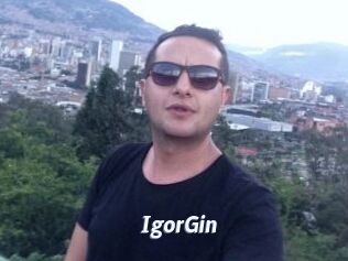 IgorGin