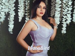 IvanaBird