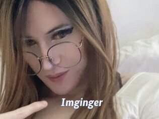Imginger