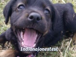Indianajonestest