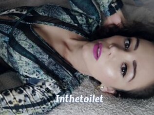 Inthetoilet