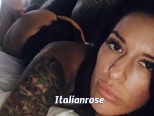 Italianrose