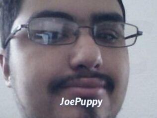 JoePuppy
